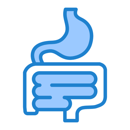 Digestive System