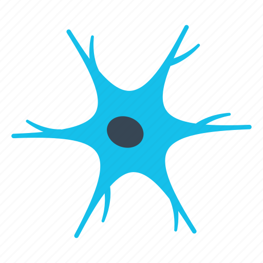 Central Nervous System